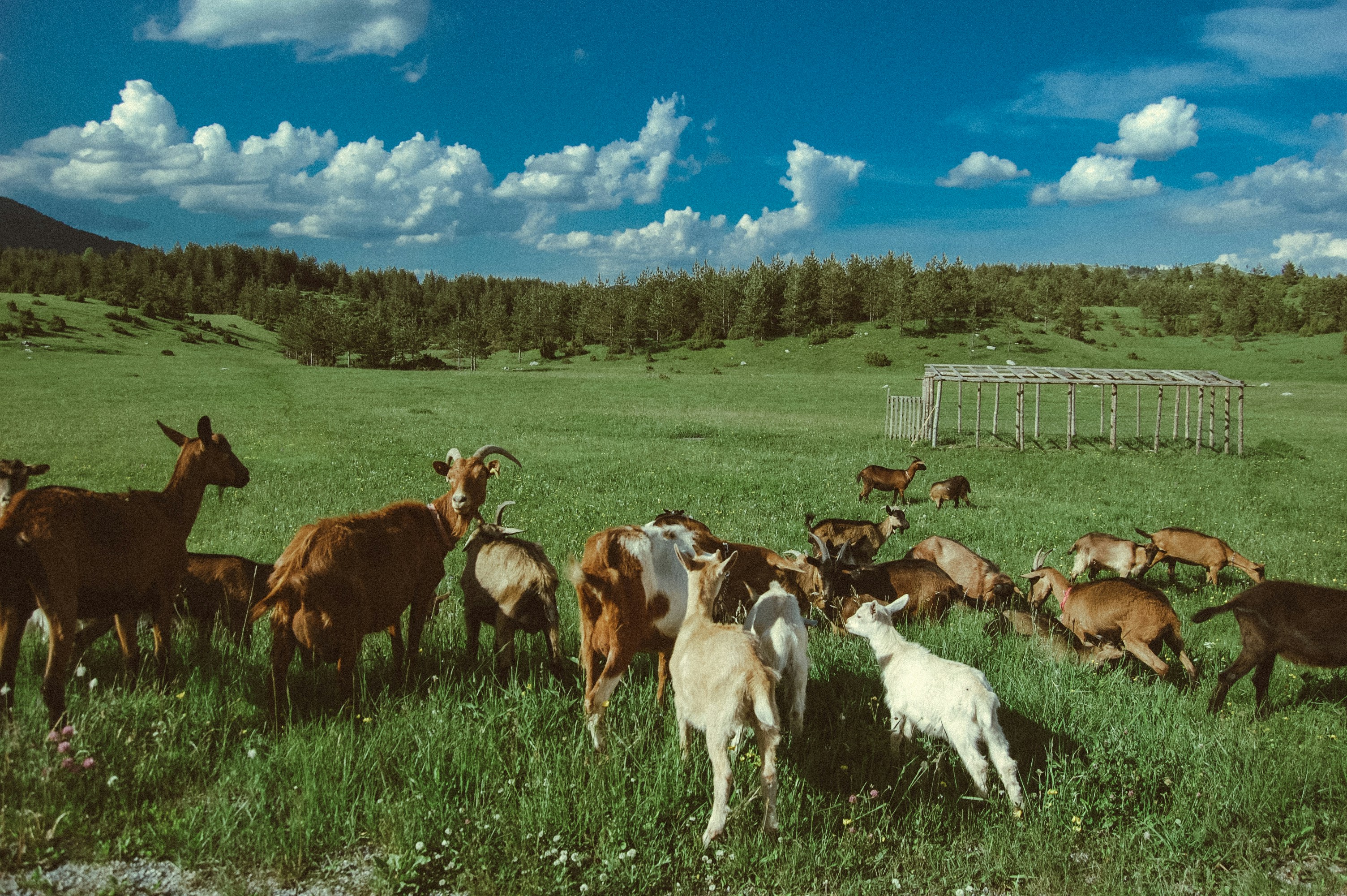 Freshflow Foods sustainable farming and processing facility